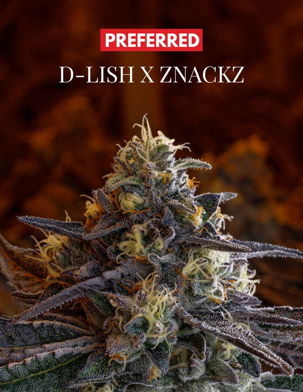 D-Lish X Znackz van Preferred Gardens