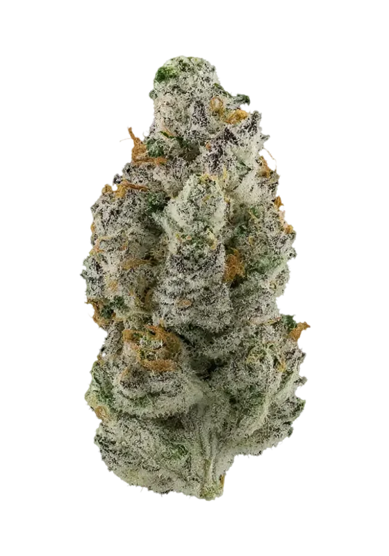 Twin X Blu Zu van Preferred Gardens