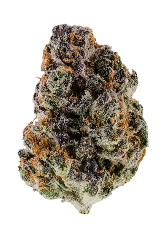 Verzace X Znackz van Preferred Gardens