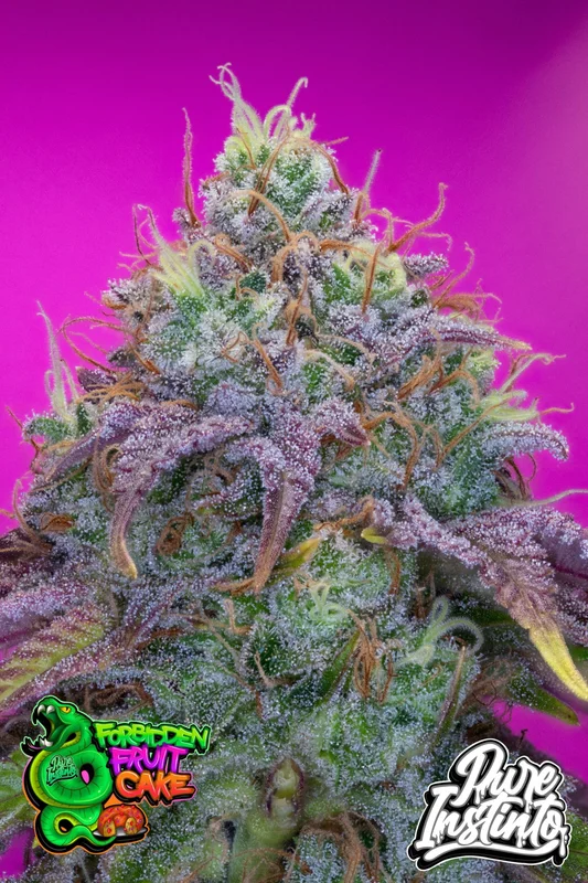 Forbidden Fruit Cake van Pure Instinto