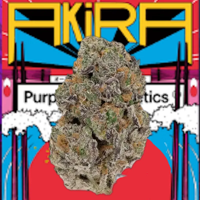 Miracle Mochi van Purple City Genetics