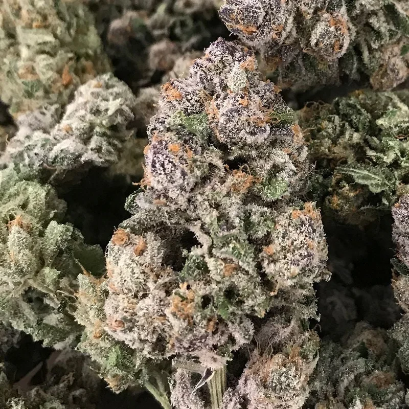 Dark Ghost Train van Rare Dankness