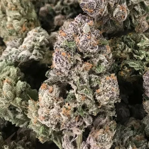 Dark Ghost Train van Rare Dankness
