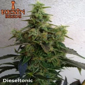 Dieseltonic van Resin seeds