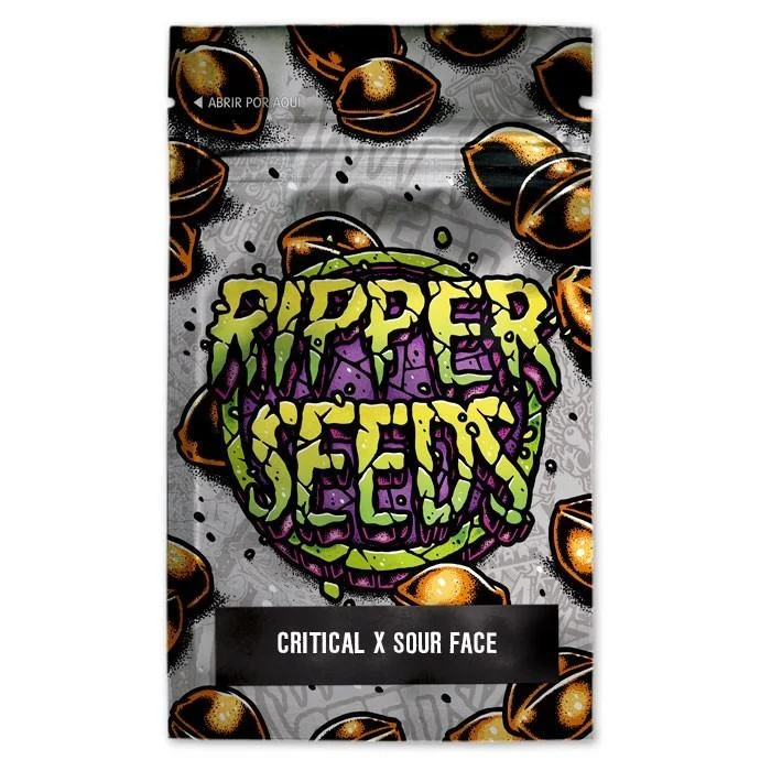 Critical x Sour Face van Ripper Seeds