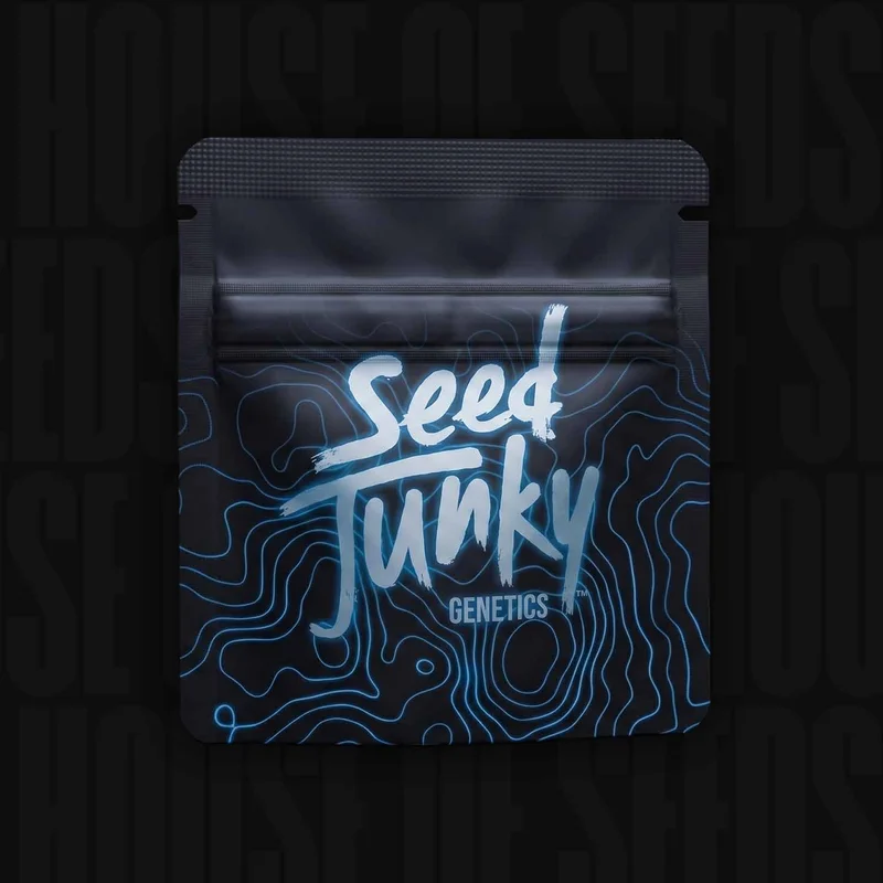 Wild Burst van Seed Junky Genetics