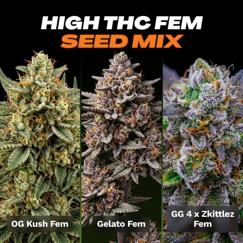 Seed Mix by Seed Supreme