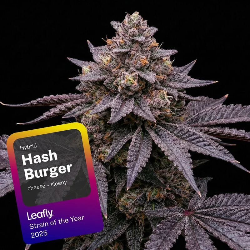 Hash Burger by Seed Supreme
