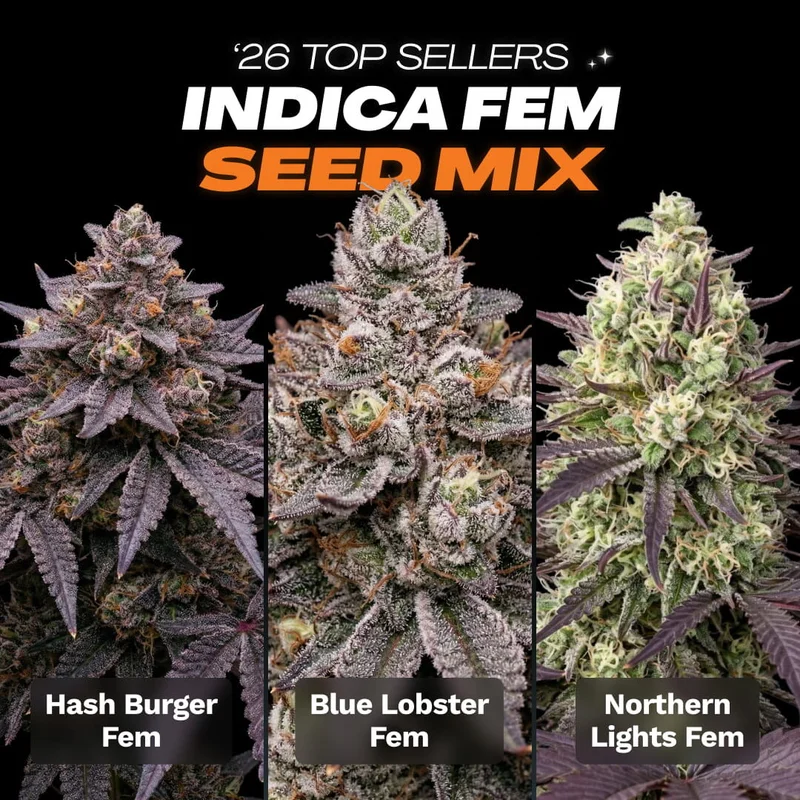 '26 Top Seller Indica Seed Mix by Seed Supreme