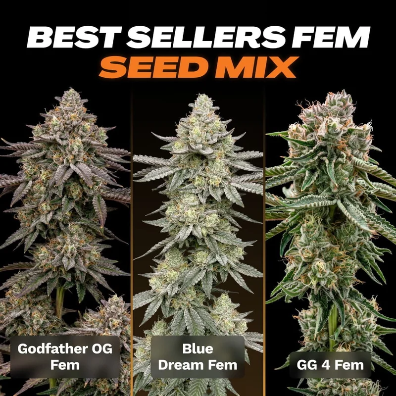 Sellers Seed Mix by Seed Supreme