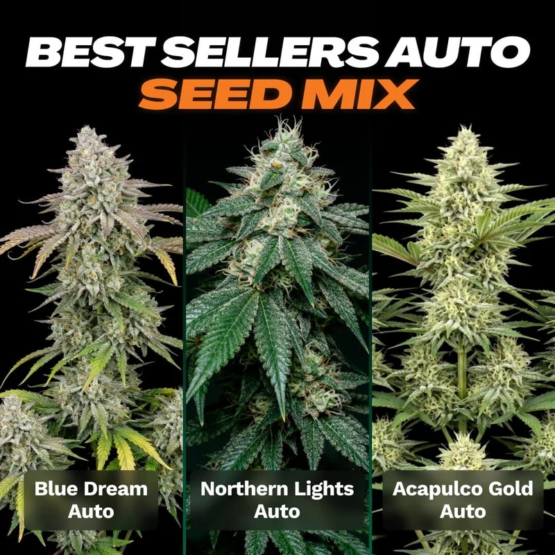 Sellers Seed Mix by Seed Supreme