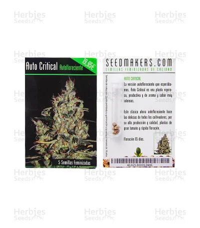Critical van Seedmakers Seeds