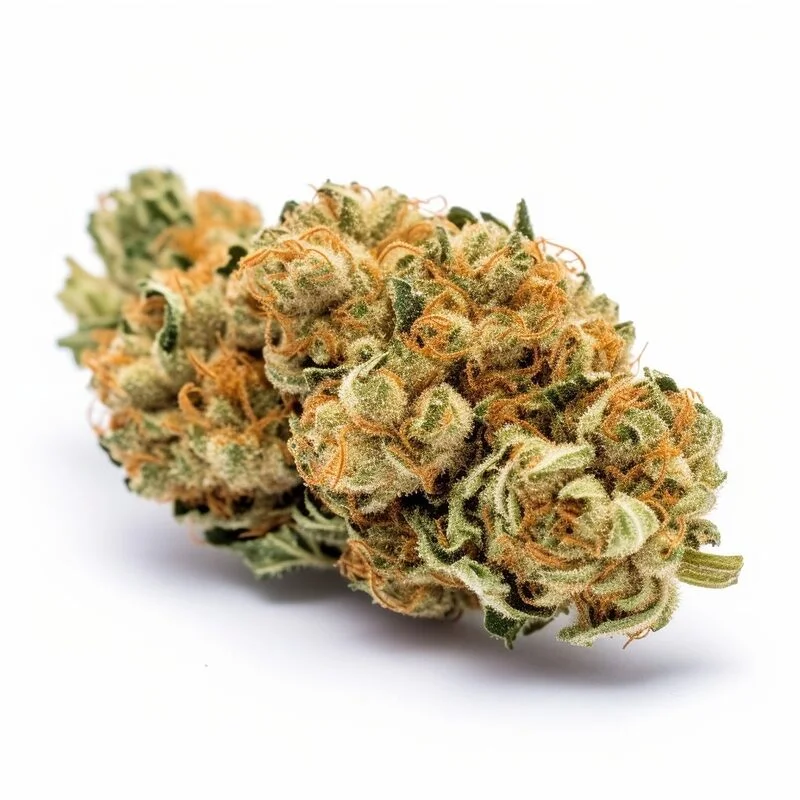 Super Lemon Haze by Seeds Genetics Co.