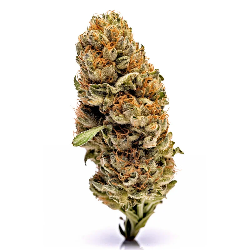 Moonbow van Seeds Genetics Co.