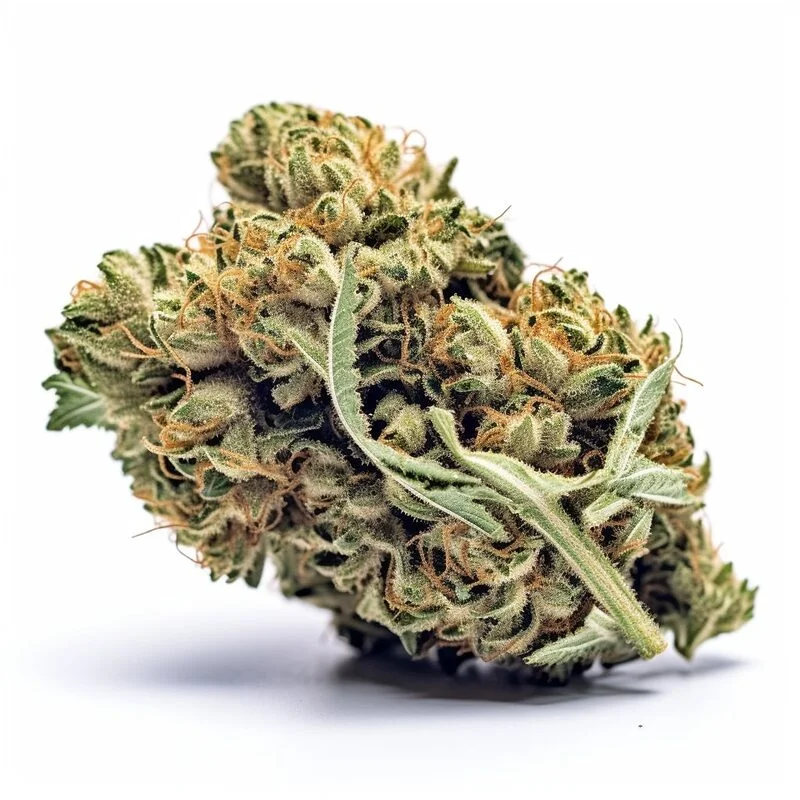 Super Silver Haze by Seeds Genetics Co.