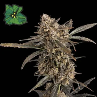 Green Crack van Seedsman