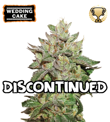 Wedding Cake van Seedstockers