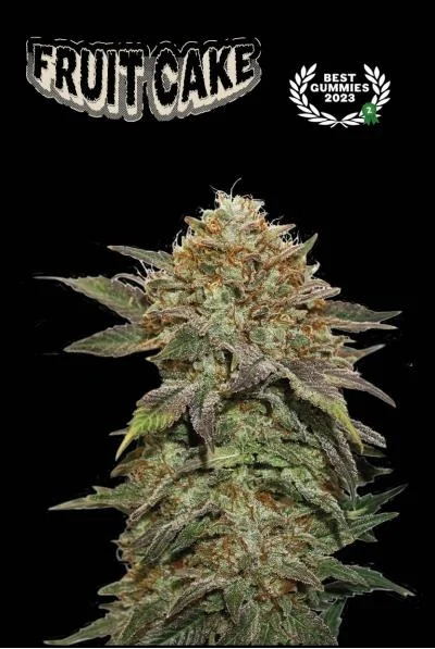 Superior Fruit Cake van Seedstockers