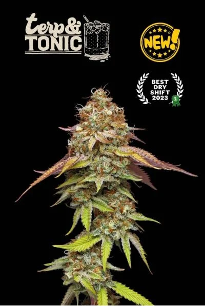 Superior Terp & Tonic van Seedstockers