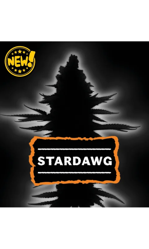 Stardawg van Seedstockers
