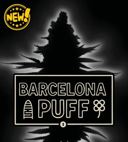 Barcelona Puff van Seedstockers