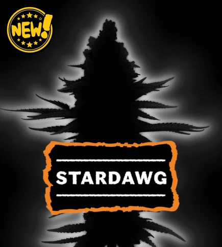 Stardawg van Seedstockers