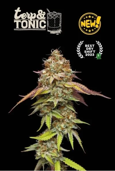 Superior Terp & Tonic van Seedstockers