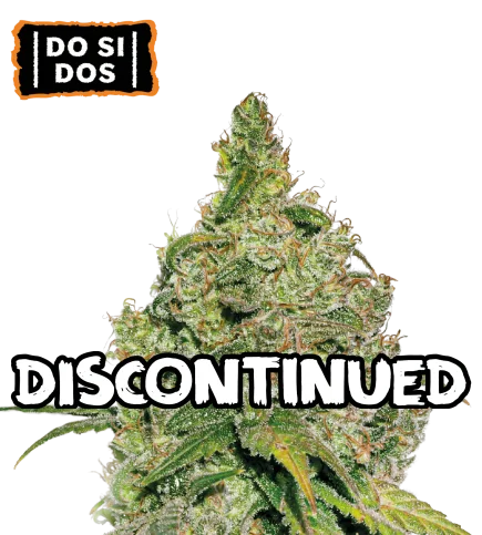 Do Si Dos van Seedstockers