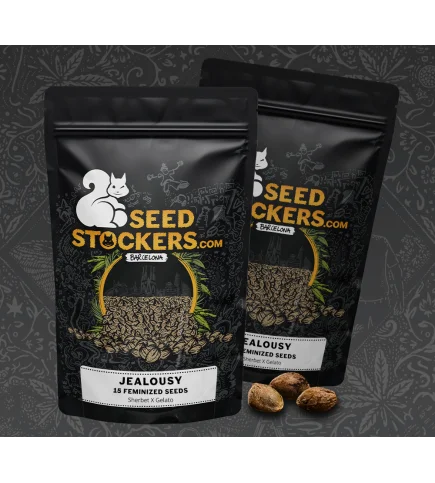 Jealousy van Seedstockers