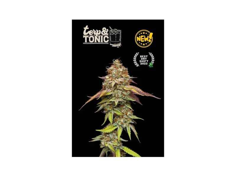 Terp and Tonic van Seedstockers