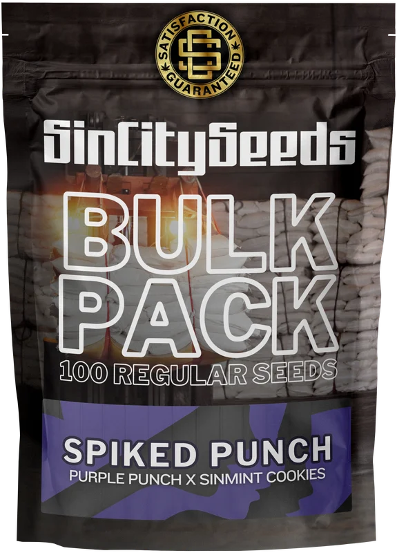 Spiked Punch van SinCity Seeds