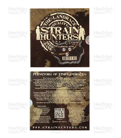 Damnesia van Strain Hunters