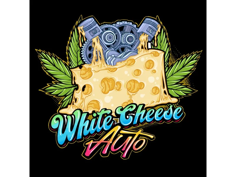 White Cheese van Sumo Seeds