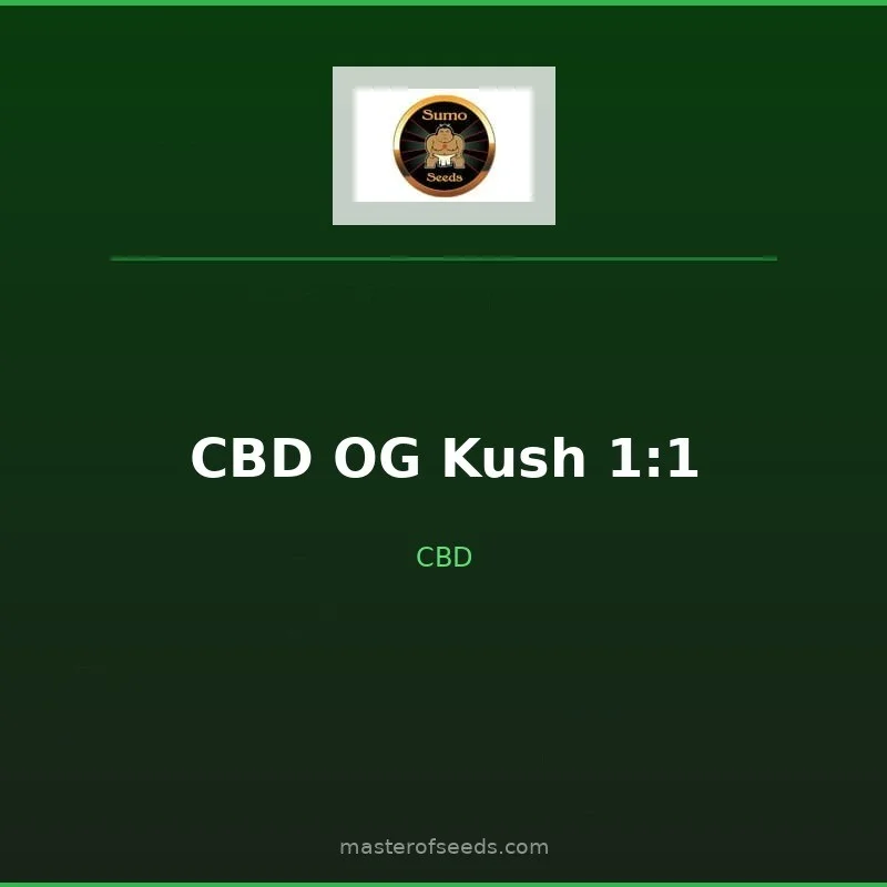 CBD OG Kush 1:1 van Sumo Seeds