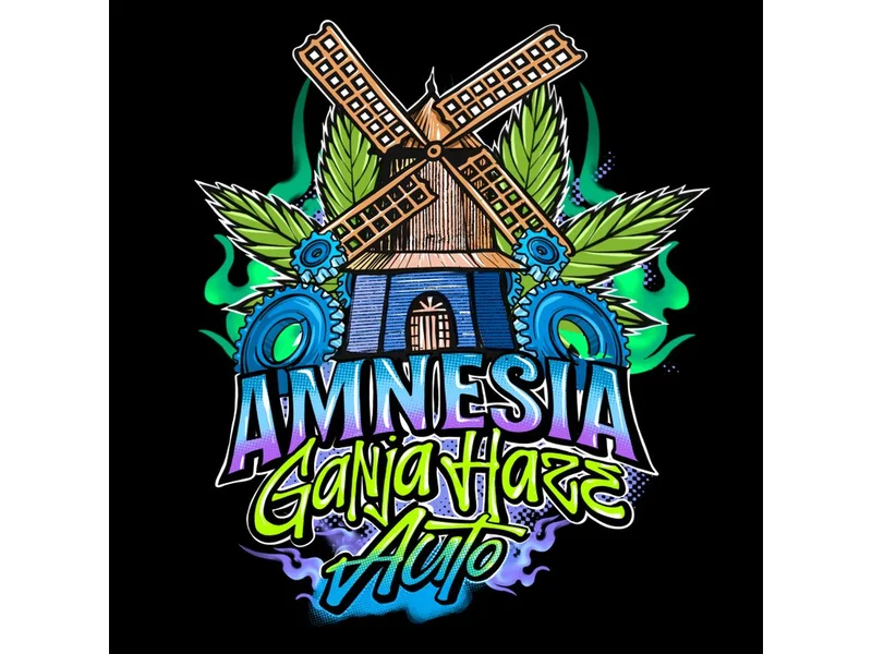 Amnesia Ganja Haze van Sumo Seeds