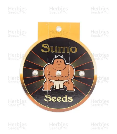 CBD Kong's Kush van Sumo Seeds