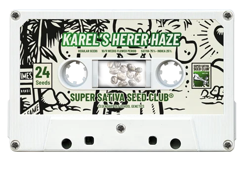 Karel's Herer Haze van Super Sativa Seed Club