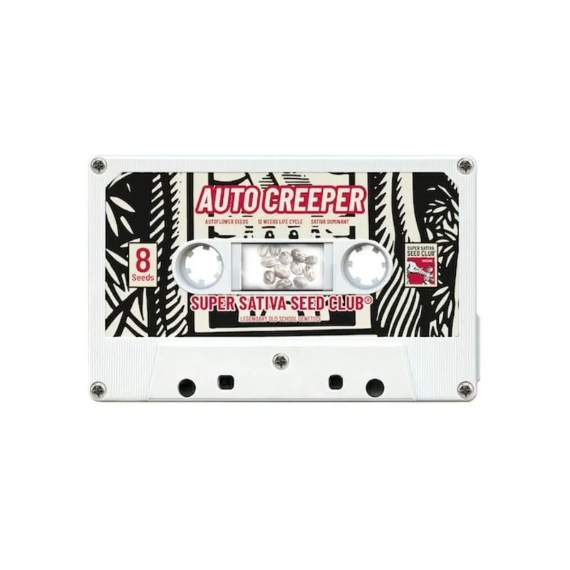 Creeper van Super Sativa Seed Club