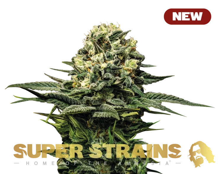 Wedding Cacke van Super Strains