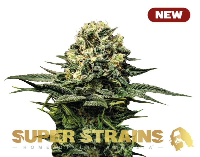 Wedding Cacke van Super Strains