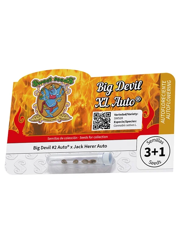 Big Devil XL van Sweet Seeds