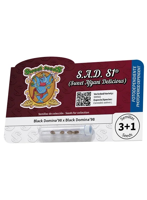 S.A.D. Sweet Afgani Delicious S1 van Sweet Seeds