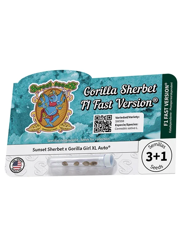 Gorilla Sherbet F1 Fast Version van Sweet Seeds