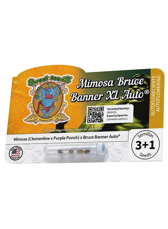 Mimosa Bruce Banner XL van Sweet Seeds