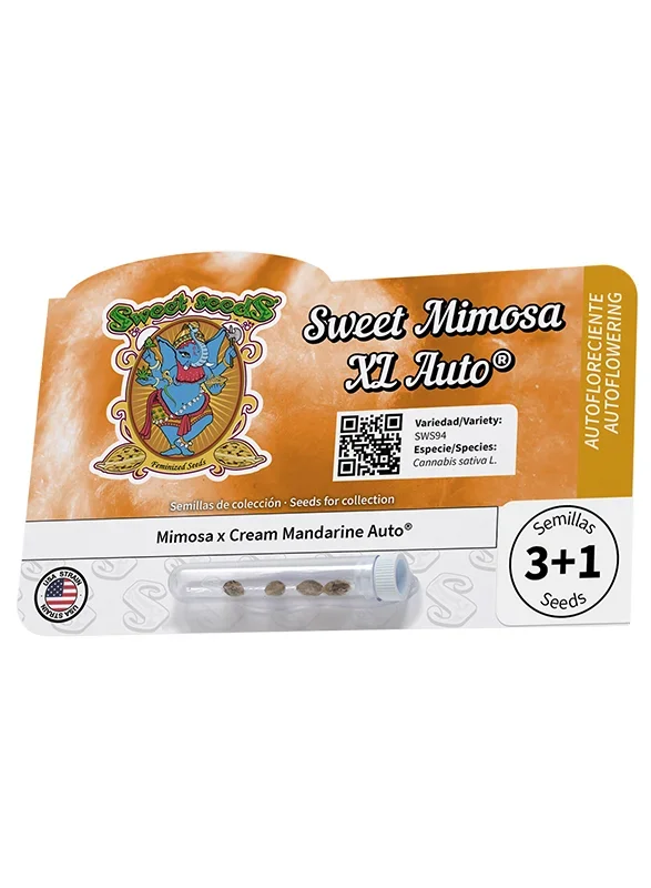 Sweet Mimosa XL van Sweet Seeds