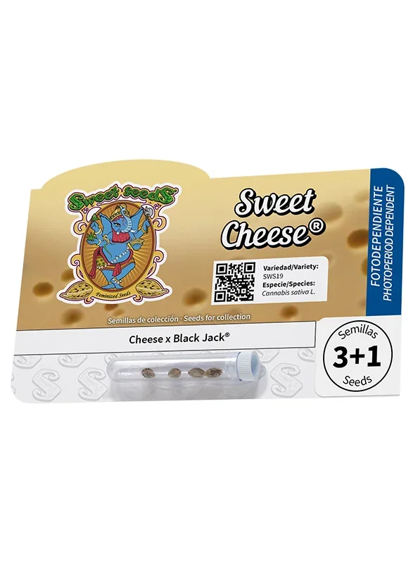 Sweet Cheese van Sweet Seeds