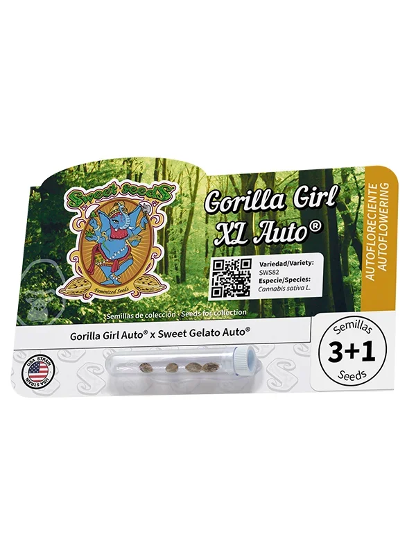 Gorilla Girl XL van Sweet Seeds