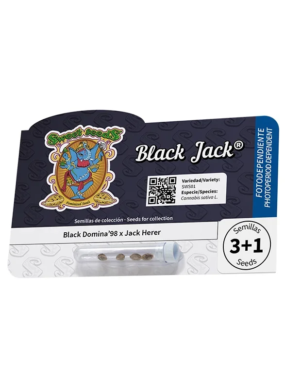 Black Jack van Sweet Seeds