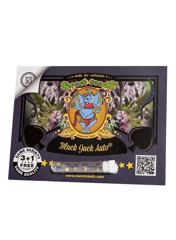 Black Jack van Sweet Seeds