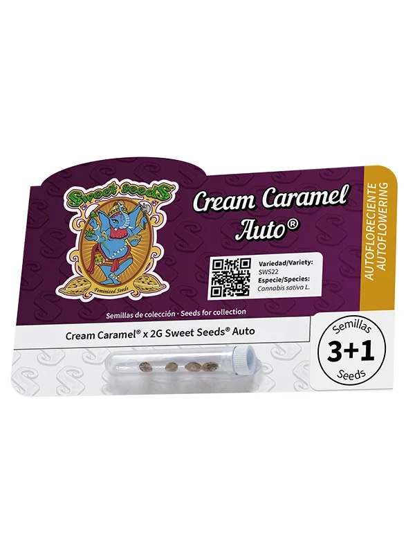 Cream Caramel van Sweet Seeds